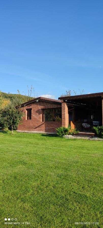 Vila View Cozia Călimăneşti Exteriér fotografie