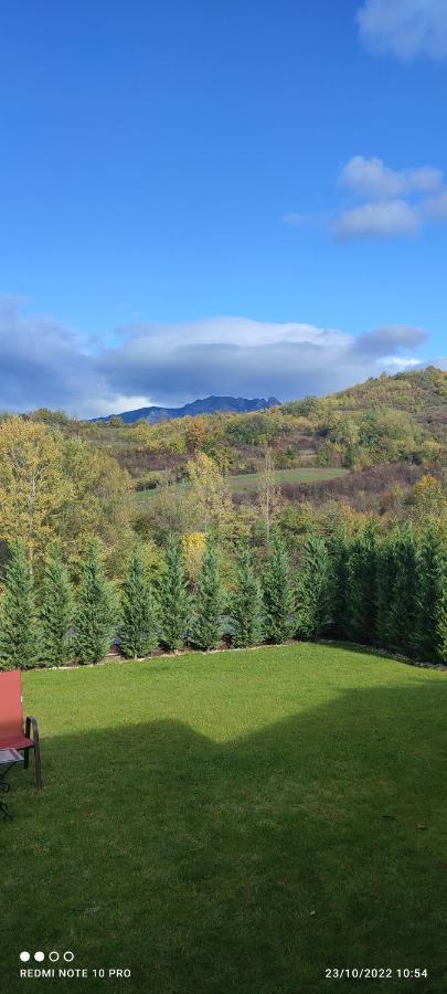 Vila View Cozia Călimăneşti Exteriér fotografie
