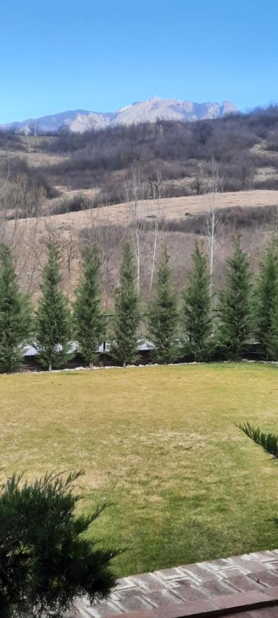 Vila View Cozia Călimăneşti Exteriér fotografie