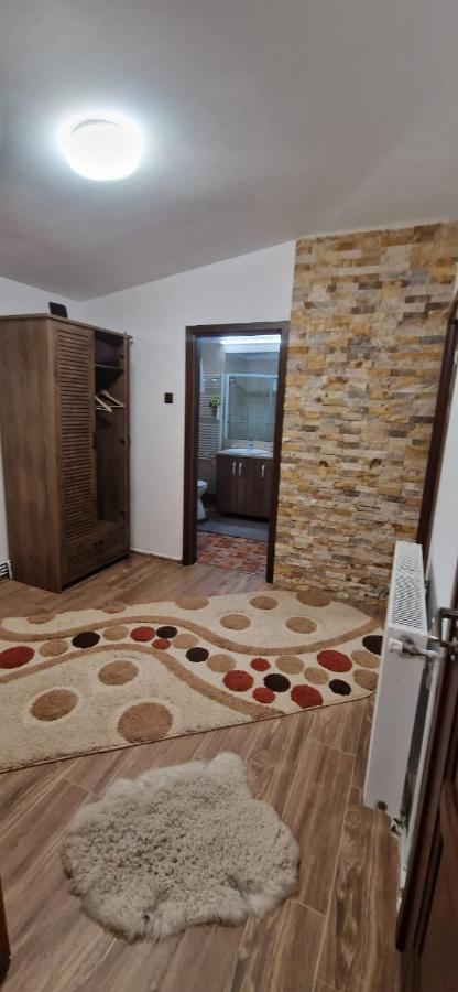 Vila View Cozia Călimăneşti Exteriér fotografie