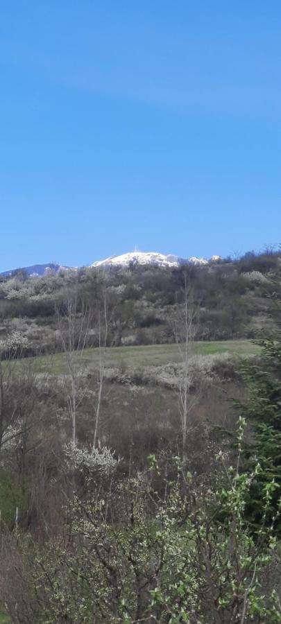 Vila View Cozia Călimăneşti Exteriér fotografie