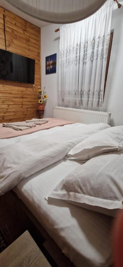 Vila View Cozia Călimăneşti Exteriér fotografie